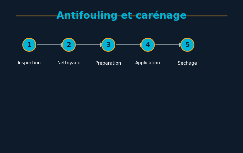 Diagram showing hull maintenance process and antifouling application