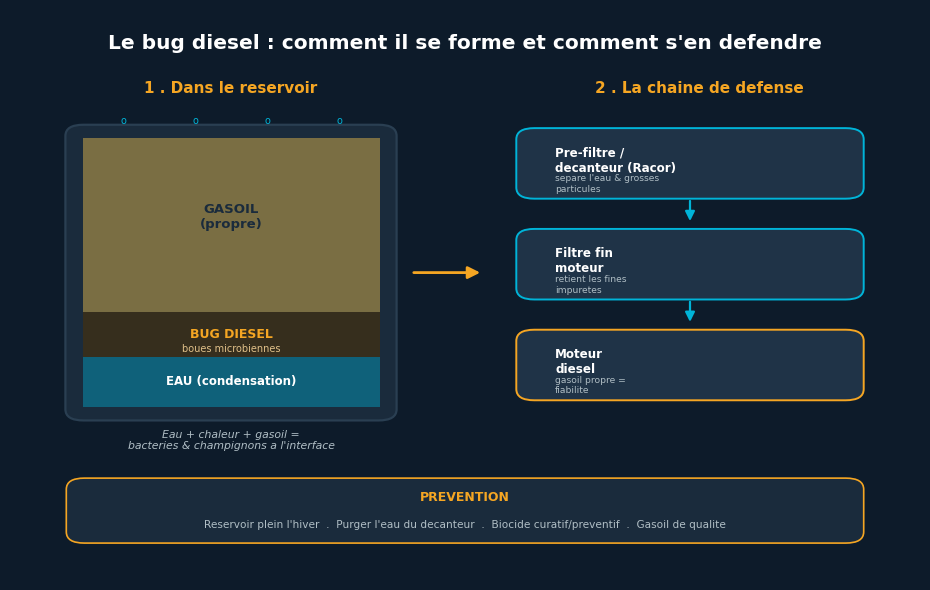 Esquema del bug diésel: formación en el depósito y cadena de filtración de defensa