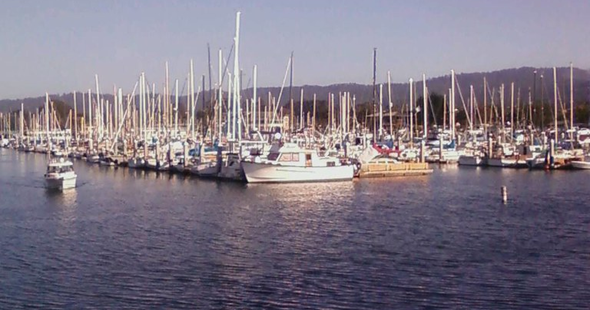 Cómo elegir su primer velero: guía completa