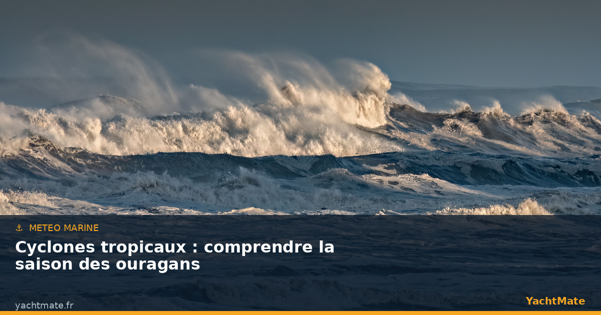 Raging sea during a tropical cyclone